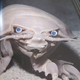 Illustration for article titled Deep Sea Fauna with Googly Eyes